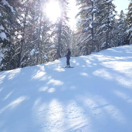 Royal Towers מלון 2*