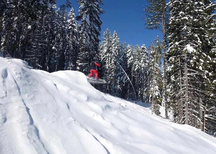 роял тауърс